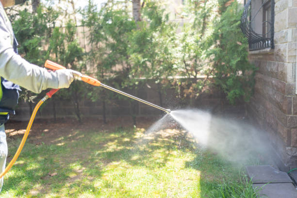 Best Flea Control Services  in Baldwinville, MA