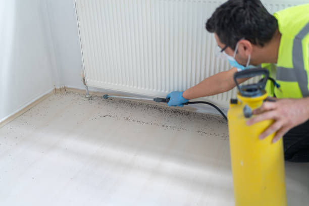 Best Best Pest Control Companies  in Baldwinville, MA