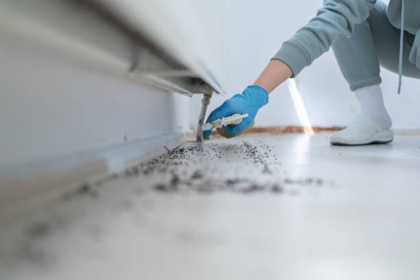 Best Emergency Pest Control  in Baldwinville, MA